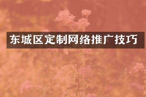 东城区定制网络推广技巧