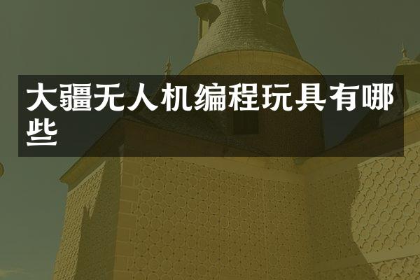 大疆无人机编程玩具有哪些