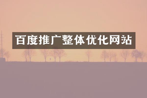 百度推广整体优化网站