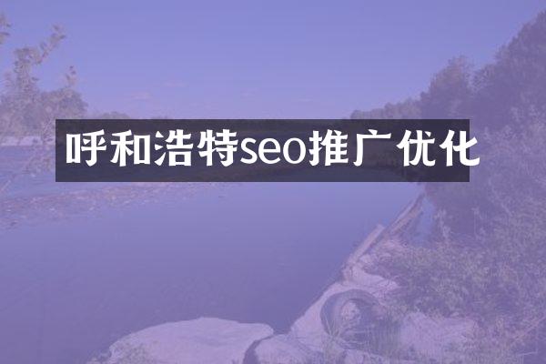 呼和浩特seo推广优化