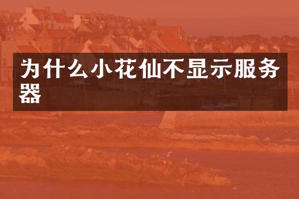 为什么小花仙不显示服务器