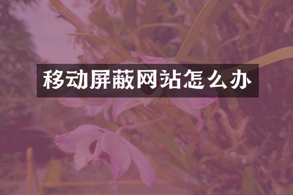 移动屏蔽网站怎么办