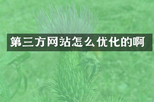 第三方网站怎么优化的啊