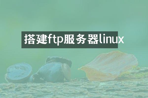 搭建ftp服务器linux