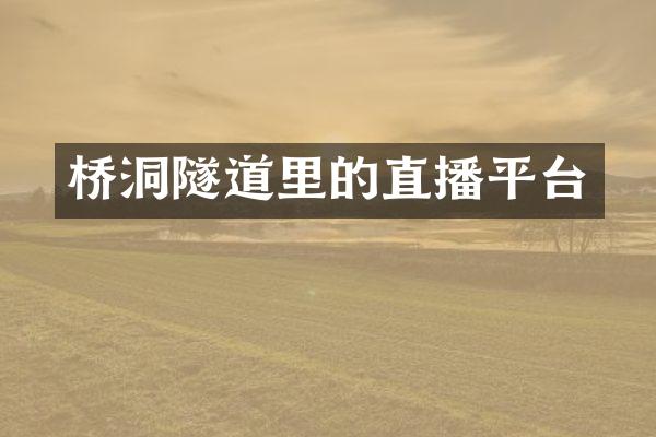 桥洞隧道里的直播平台