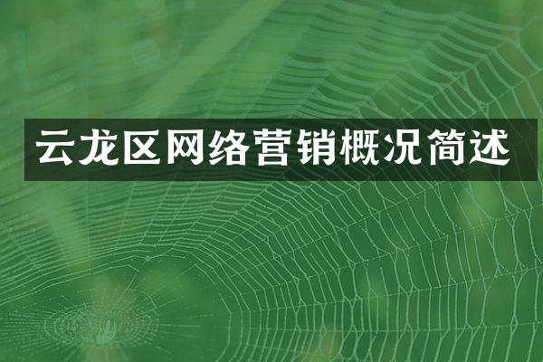 云龙区网络营销概况简述