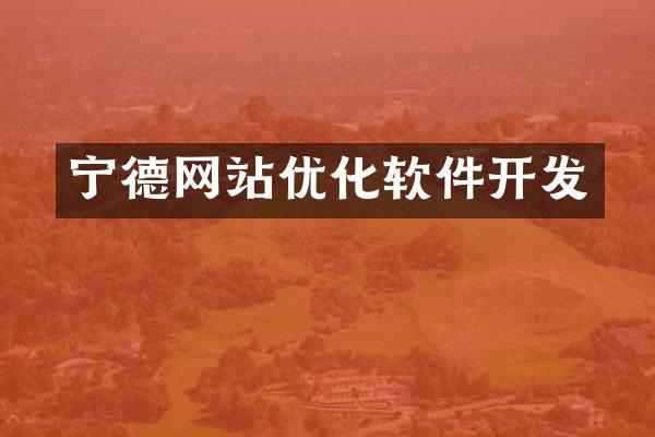 宁德网站优化软件开发