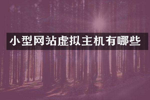 小型网站虚拟主机有哪些