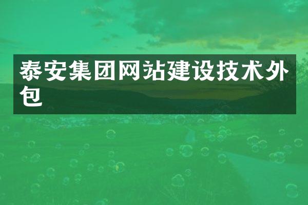 泰安集团网站建设技术外包