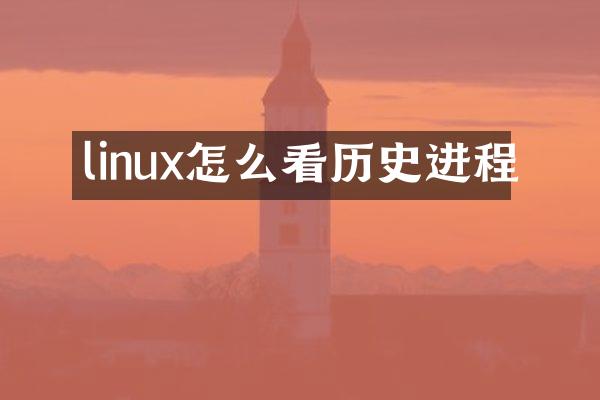 linux怎么看历史进程