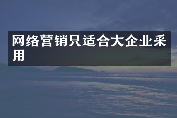 网络营销只适合大企业采用