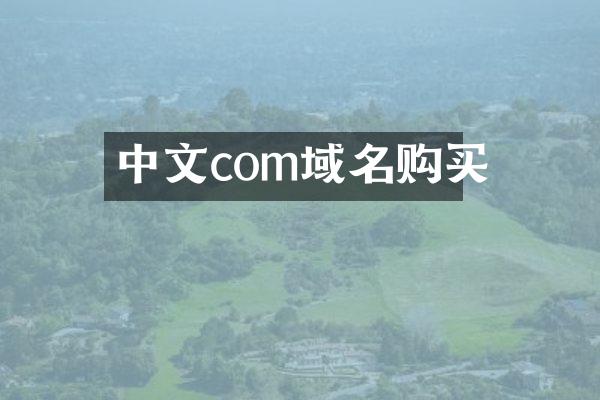 中文com域名购买
