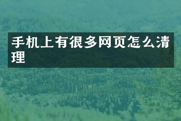 手机上有很多网页怎么清理