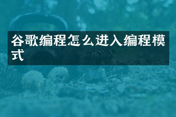 谷歌编程怎么进入编程模式