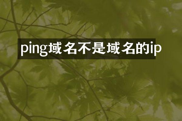ping域名不是域名的ip