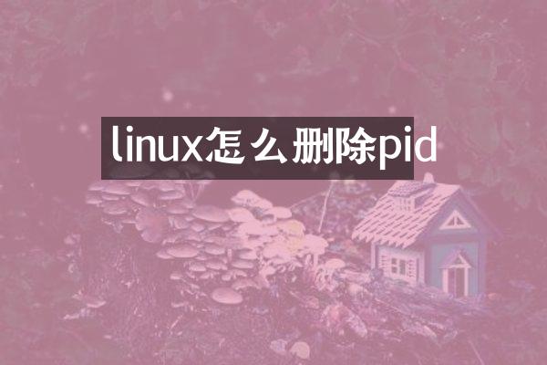 linux怎么删除pid