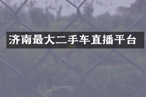 济南最大二手车直播平台