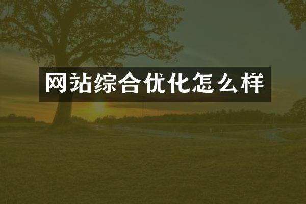 网站综合优化怎么样