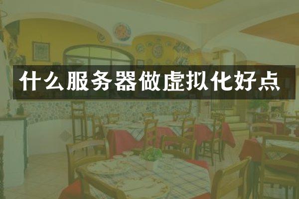 什么服务器做虚拟化好点