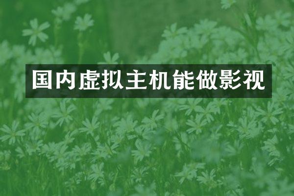 国内虚拟主机能做影视