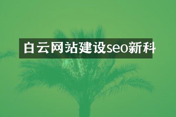白云网站建设seo新科