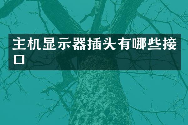 主机显示器插头有哪些接口