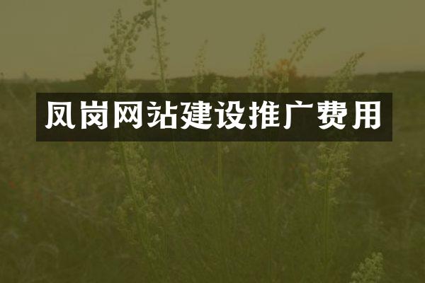 凤岗网站建设推广费用