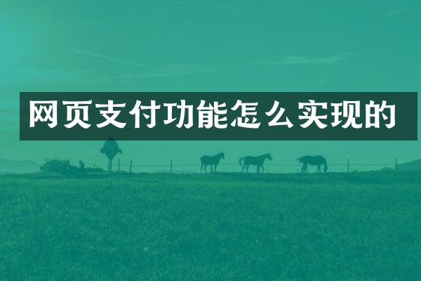 网页支付功能怎么实现的