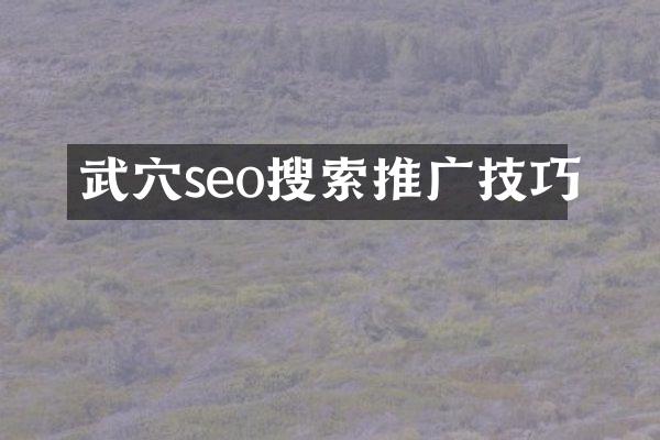 武穴seo搜索推广技巧