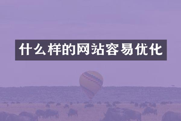 什么样的网站容易优化