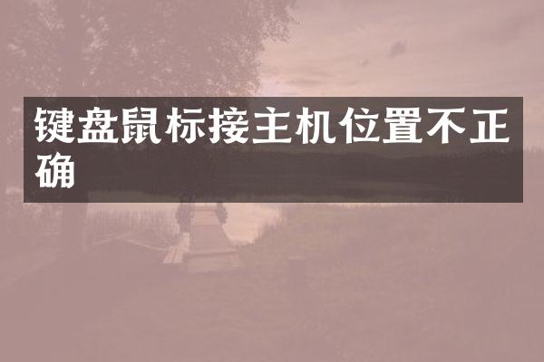 键盘鼠标接主机位置不正确