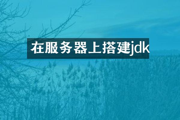 在服务器上搭建jdk
