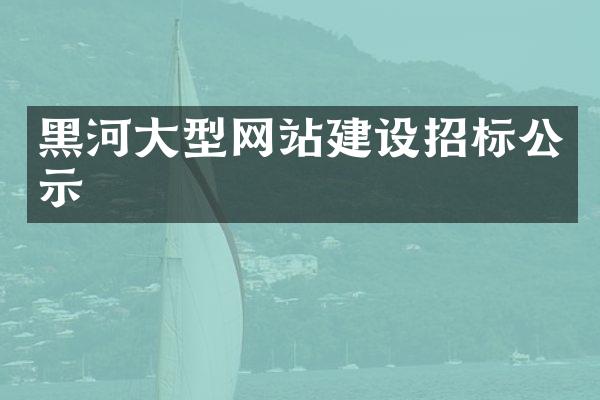 黑河大型网站建设招标公示