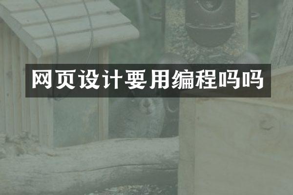 网页设计要用编程吗吗