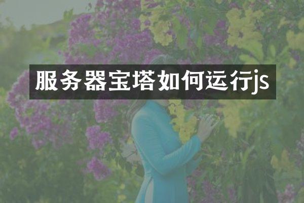 服务器宝塔如何运行js