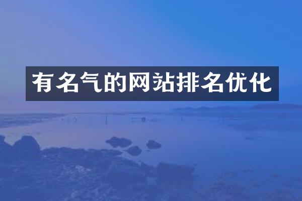 有名气的网站排名优化