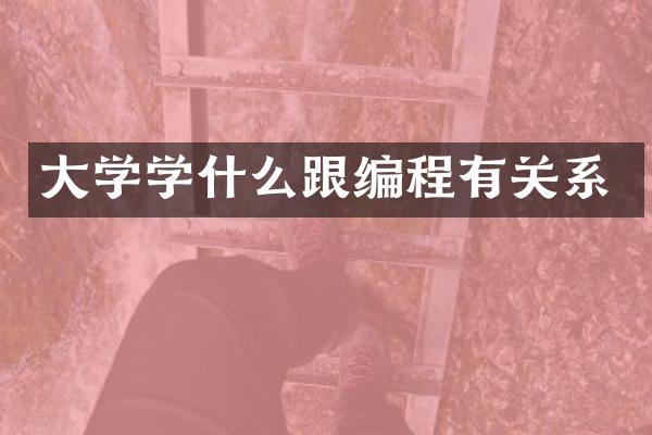大学学什么跟编程有关系
