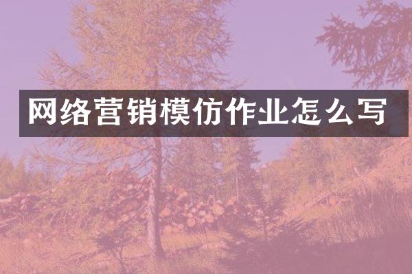 网络营销模仿作业怎么写
