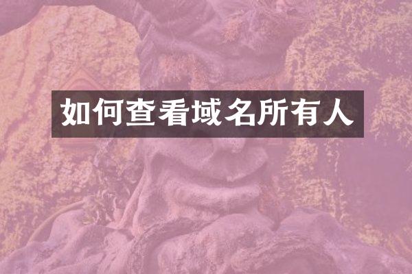 如何查看域名所有人