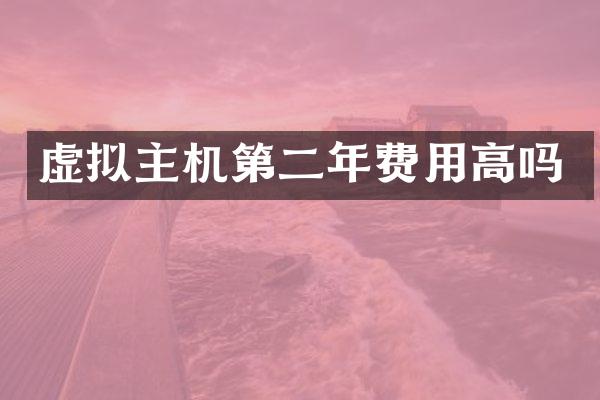 虚拟主机第二年费用高吗