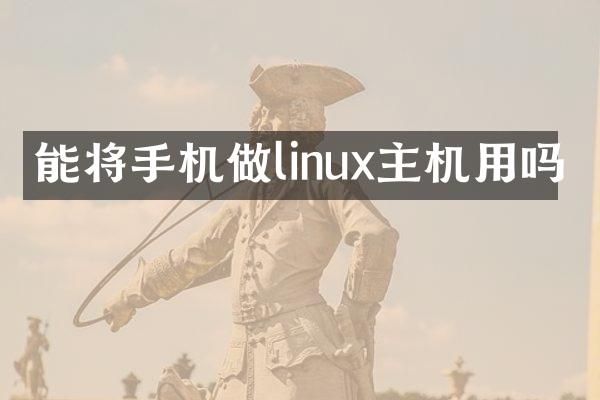 能将手机做linux主机用吗