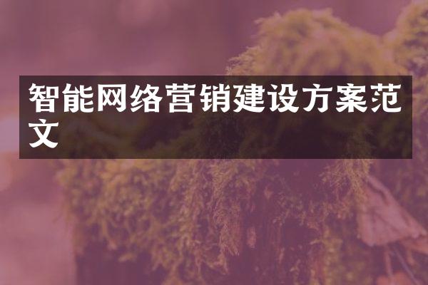 智能网络营销建设方案范文