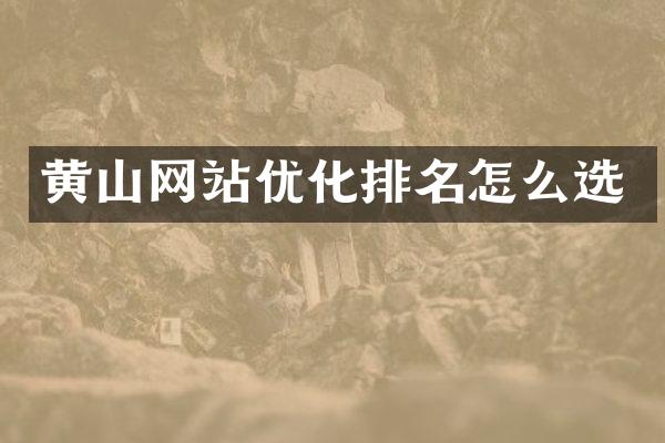 黄山网站优化排名怎么选