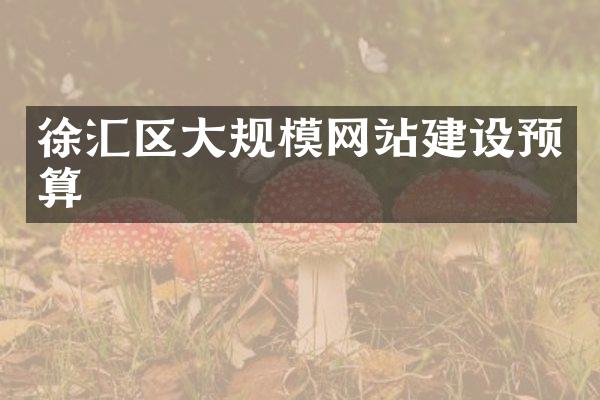 徐汇区大规模网站建设预算