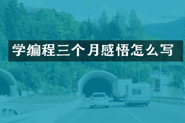 学编程三个月感悟怎么写
