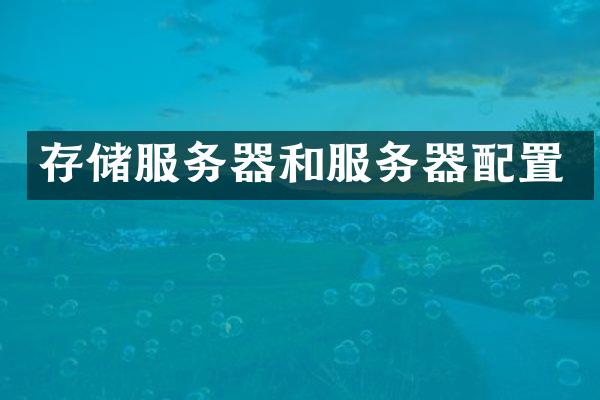 存储服务器和服务器配置
