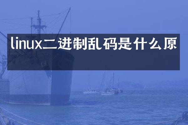 linux二进制乱码是什么原因
