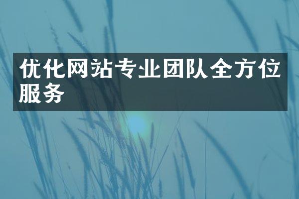优化网站专业团队全方位服务