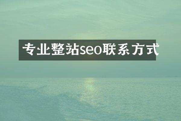 专业整站seo联系方式