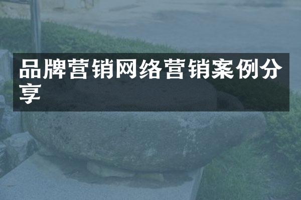 品牌营销网络营销案例分享